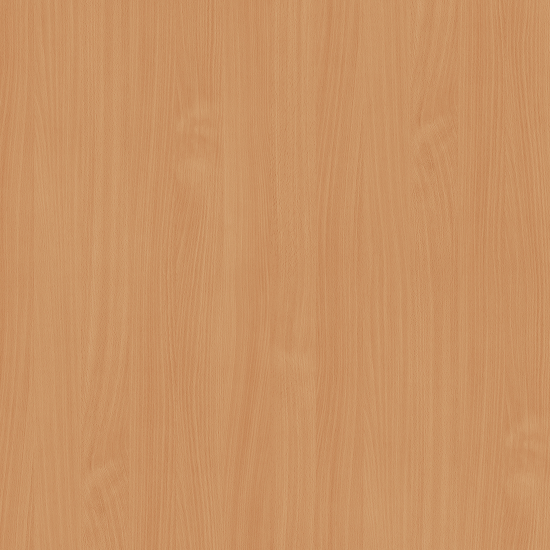 картинка Бук D381  SE 2750х1830х10 от магазина DFCH 