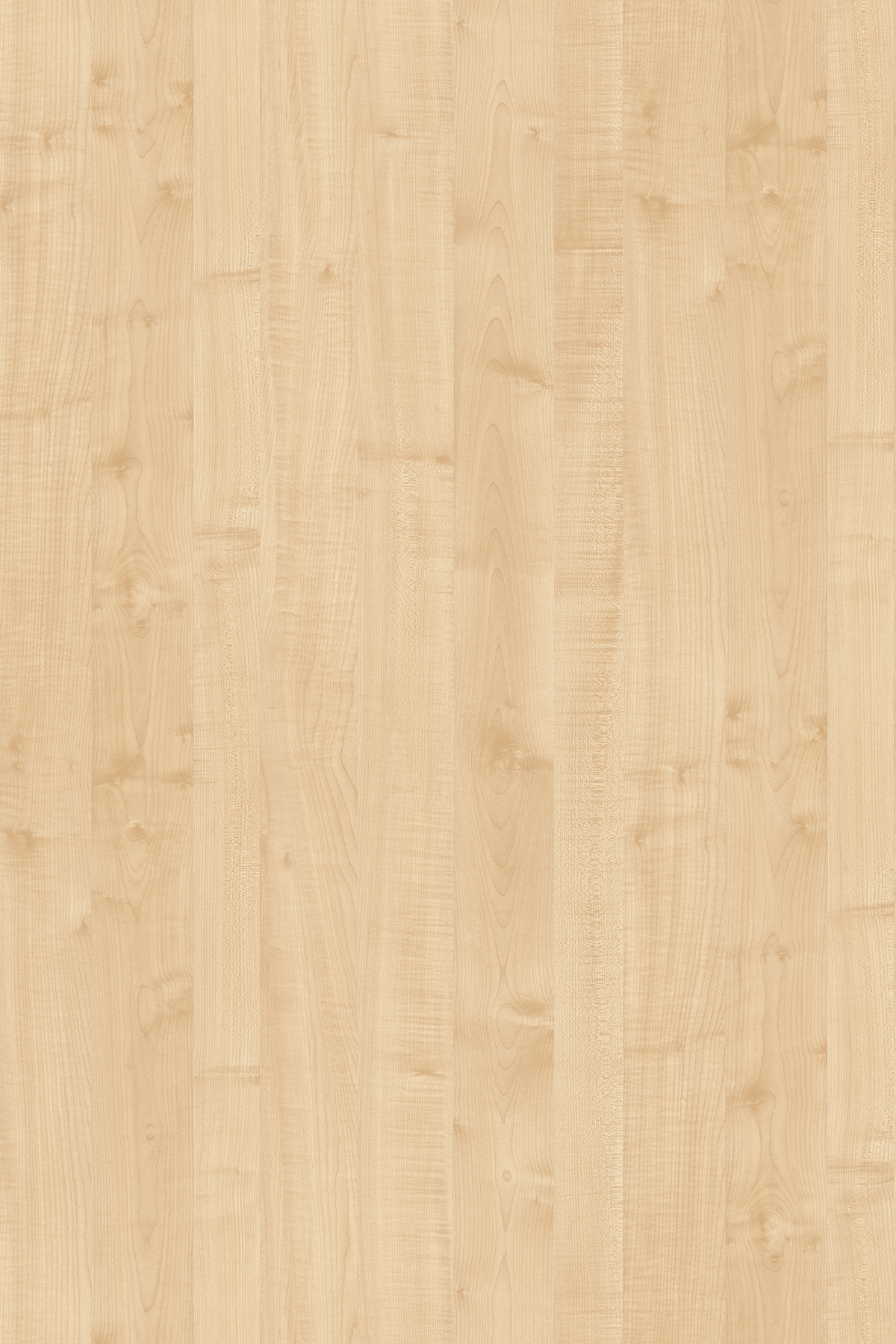 картинка Ольха 1912  PR 16*2800*2070 от магазина DFCH 