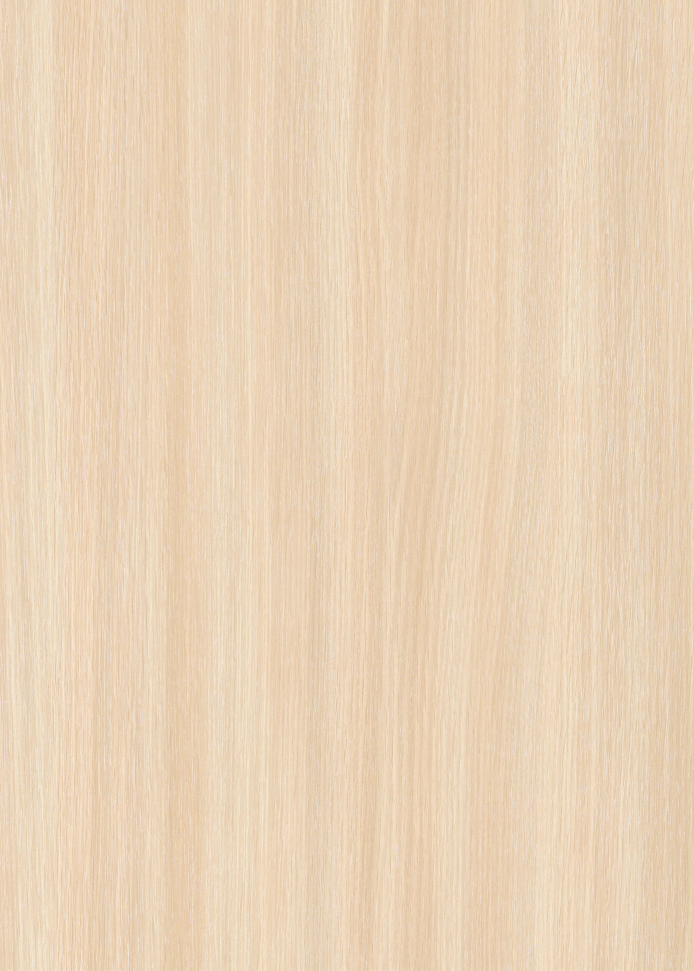 картинка Дуб Девонширский (Молочный) 8622 SE 2750х1830х10 от магазина DFCH 