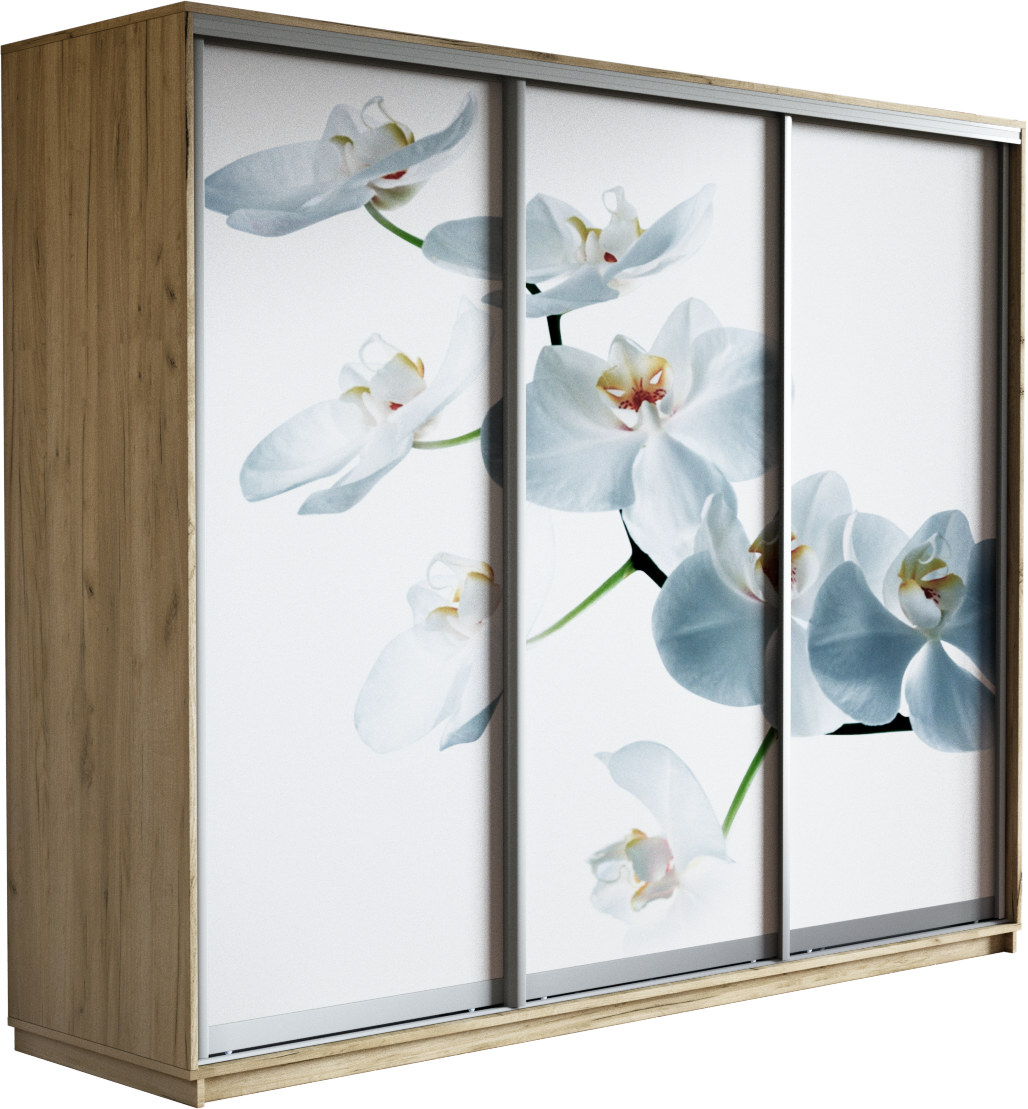 картинка Экспресс Фото трио Орхидея Крафт Табачный 2200 x 2400 x 600 от магазина DFCH 