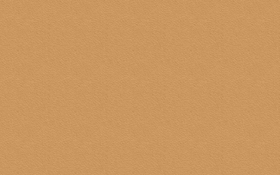 картинка Персик 0551 PE 16*2800*2070  выведен от магазина DFCH 